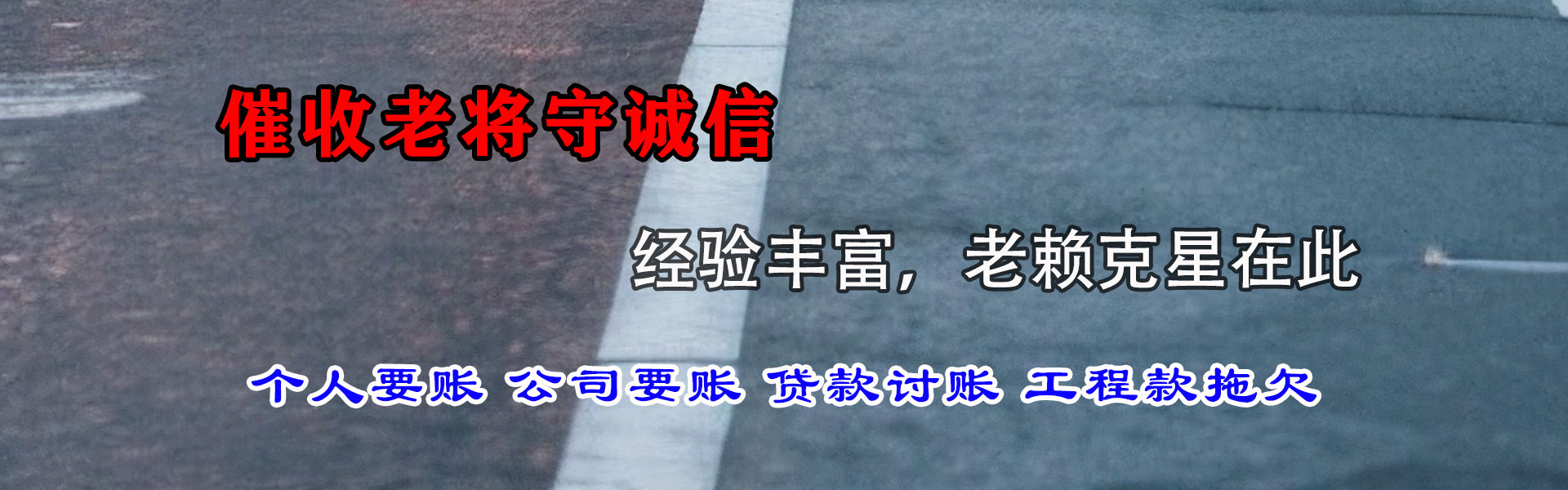 亭湖清债公司